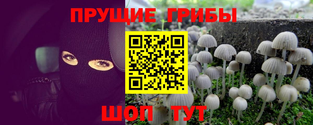 Галлюциногенные грибы прущие грибы  Вход с VPN  Рузаевка  Галлюциногенные грибы ЛСД 